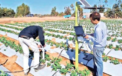 Convocan a fruticultores a charlas “Riego inteligente para Ñuble”