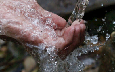 Agronomía UC entregó a agricultores herramientas para medir rentabilidad del agua